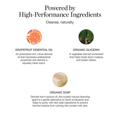 aerra Organic Brush Cleanser